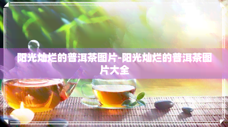 阳光灿烂的普洱茶图片-阳光灿烂的普洱茶图片大全