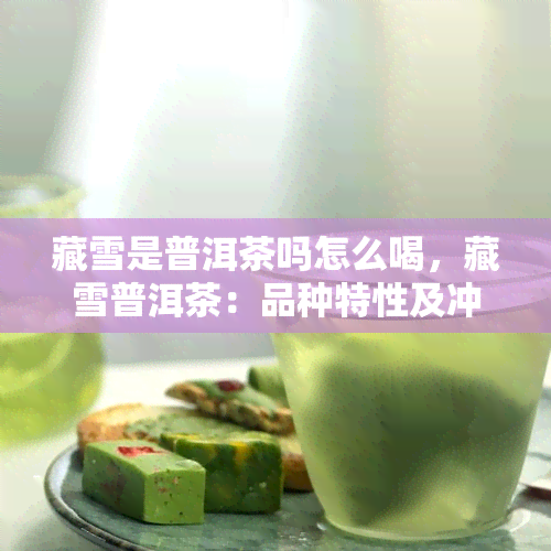 藏雪是普洱茶吗怎么喝，藏雪普洱茶：品种特性及冲泡方法解析