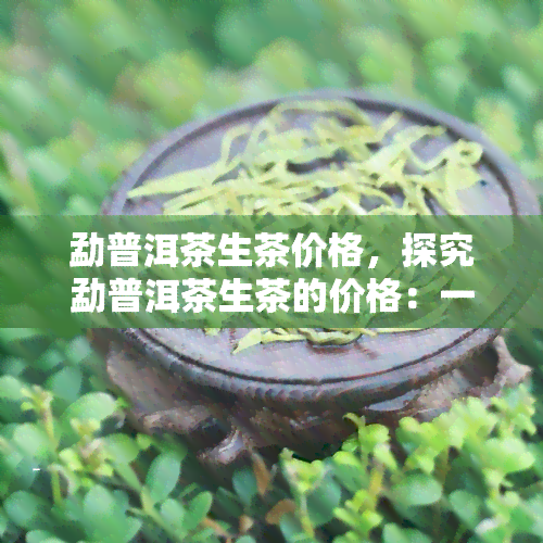 勐普洱茶生茶价格，探究勐普洱茶生茶的价格：一份全面的指南