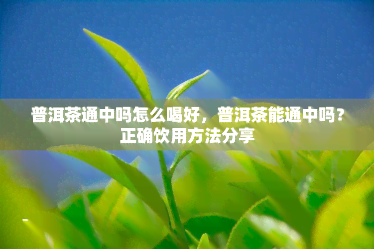 普洱茶通中吗怎么喝好，普洱茶能通中吗？正确饮用方法分享