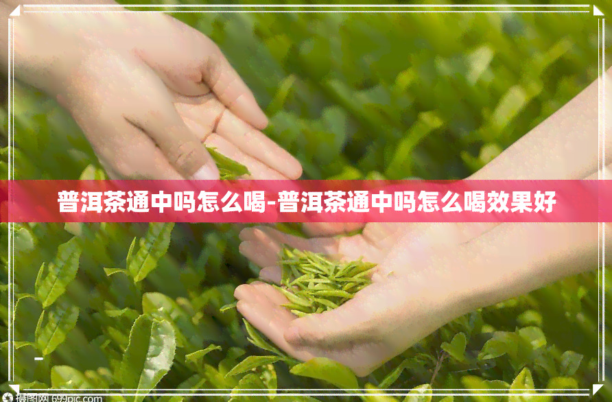 普洱茶通中吗怎么喝-普洱茶通中吗怎么喝效果好