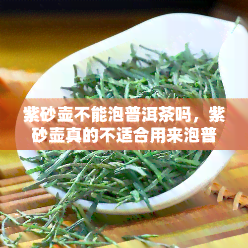 紫砂壶不能泡普洱茶吗，紫砂壶真的不适合用来泡普洱茶吗？