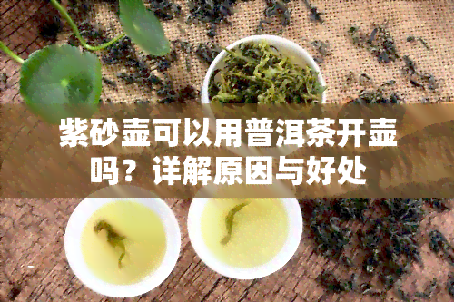 紫砂壶可以用普洱茶开壶吗？详解原因与好处