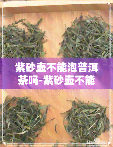 紫砂壶不能泡普洱茶吗-紫砂壶不能泡普洱茶吗为什么