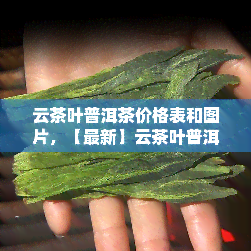 云茶叶普洱茶价格表和图片，【最新】云茶叶普洱茶价格表及图片全览