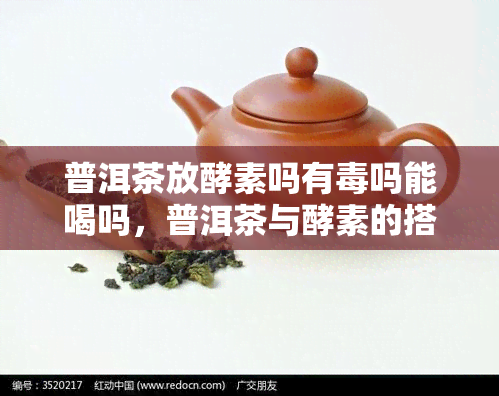 普洱茶放酵素吗有吗能喝吗，普洱茶与酵素的搭配：是否有，是否能喝？