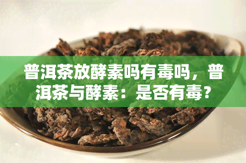 普洱茶放酵素吗有吗，普洱茶与酵素：是否有？