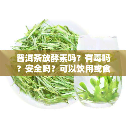 普洱茶放酵素吗？有吗？安全吗？可以饮用或食用吗？普洱茶酵素的功效是什么？