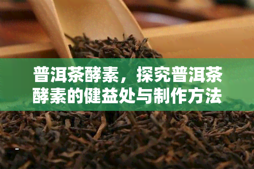 普洱茶酵素，探究普洱茶酵素的健益处与制作方法