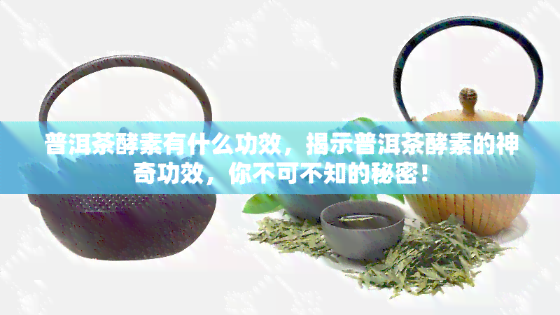 普洱茶酵素有什么功效，揭示普洱茶酵素的神奇功效，你不可不知的秘密！