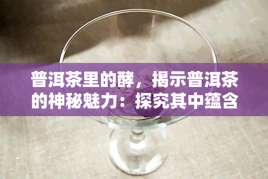 普洱茶里的酵，揭示普洱茶的神秘魅力：探究其中蕴含的酵母作用