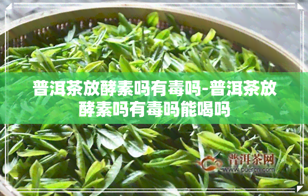 普洱茶放酵素吗有吗-普洱茶放酵素吗有吗能喝吗