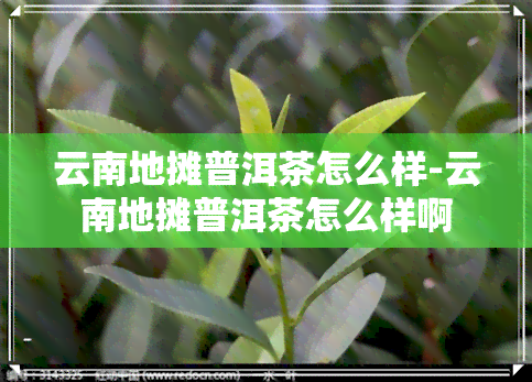 云南地摊普洱茶怎么样-云南地摊普洱茶怎么样啊