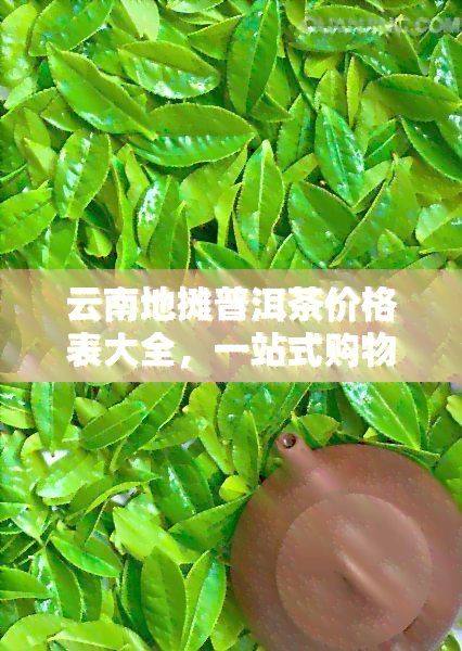 云南地摊普洱茶价格表大全，一站式购物！云南地摊普洱茶价格表大全，让您轻松选购心仪好茶！