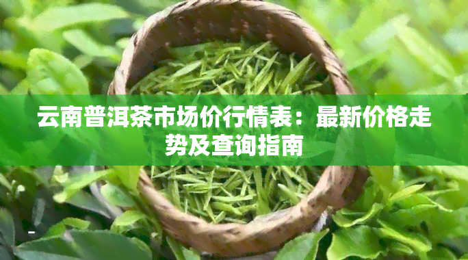 云南普洱茶市场价行情表：最新价格走势及查询指南