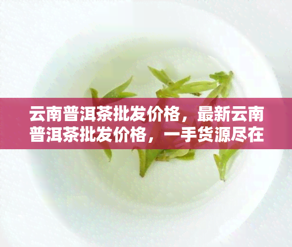 云南普洱茶批发价格，最新云南普洱茶批发价格，一手货源尽在这里！