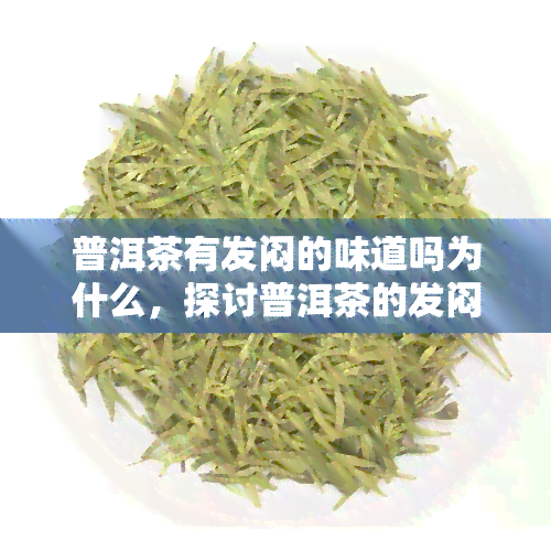 普洱茶有发闷的味道吗为什么，探讨普洱茶的发闷味道：原因解析