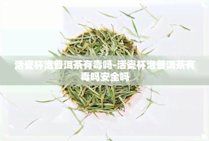 活瓷杯泡普洱茶有吗-活瓷杯泡普洱茶有吗安全吗