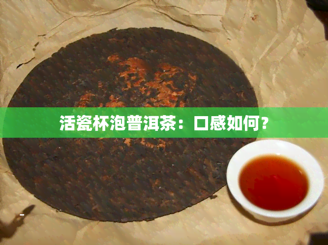 活瓷杯泡普洱茶：口感如何？