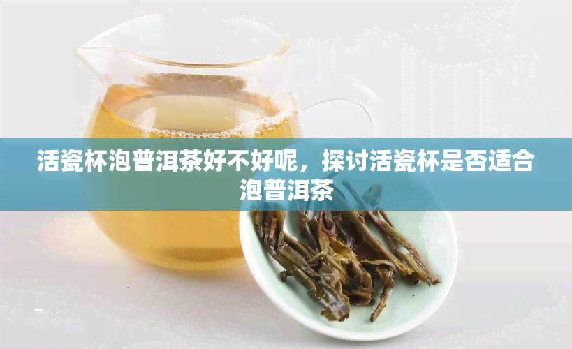 活瓷杯泡普洱茶好不好呢，探讨活瓷杯是否适合泡普洱茶