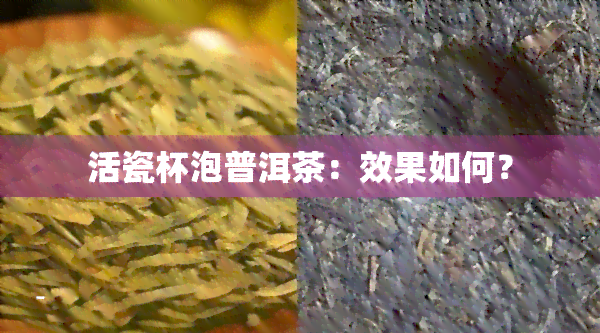 活瓷杯泡普洱茶：效果如何？