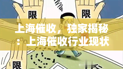 上海，独家揭秘：上海行业现状与问题深度解析