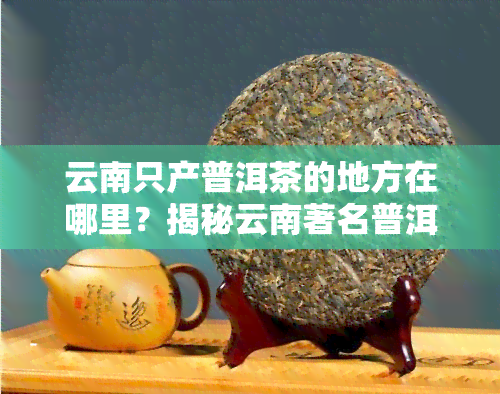 云南只产普洱茶的地方在哪里？揭秘云南著名普洱茶产区及主要区县