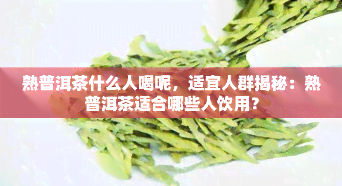 熟普洱茶什么人喝呢，适宜人群揭秘：熟普洱茶适合哪些人饮用？