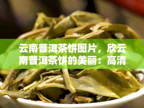 云南普洱茶饼图片，欣云南普洱茶饼的美丽：高清图片集锦