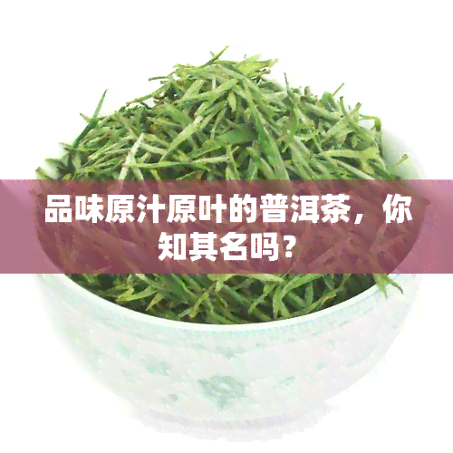 品味原汁原叶的普洱茶，你知其名吗？