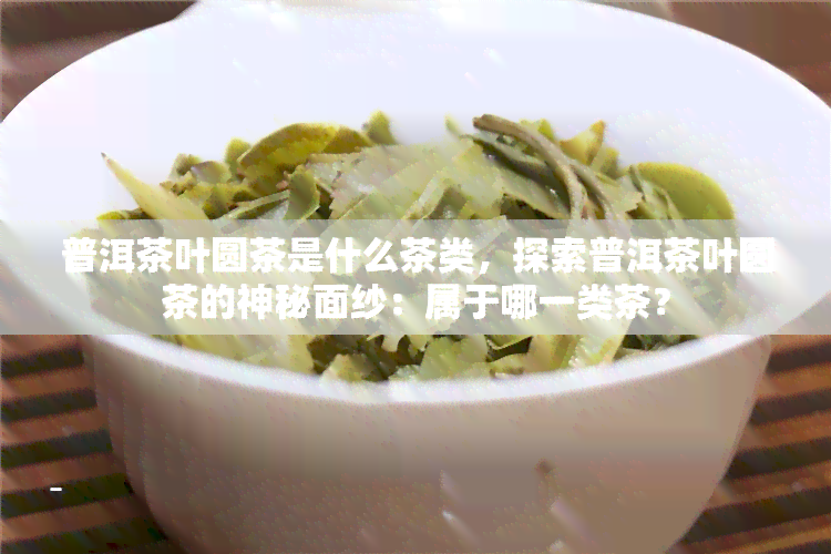 普洱茶叶圆茶是什么茶类，探索普洱茶叶圆茶的神秘面纱：属于哪一类茶？