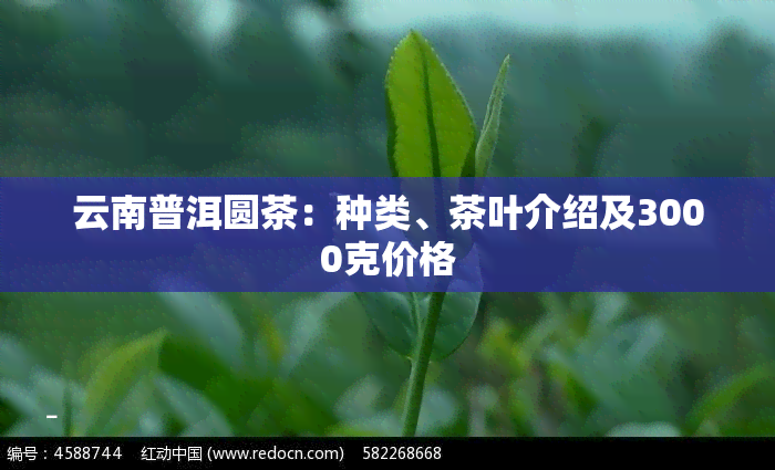 云南普洱圆茶：种类、茶叶介绍及3000克价格