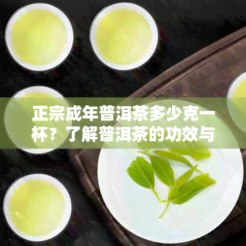 正宗成年普洱茶多少克一杯？了解普洱茶的功效与冲泡方法