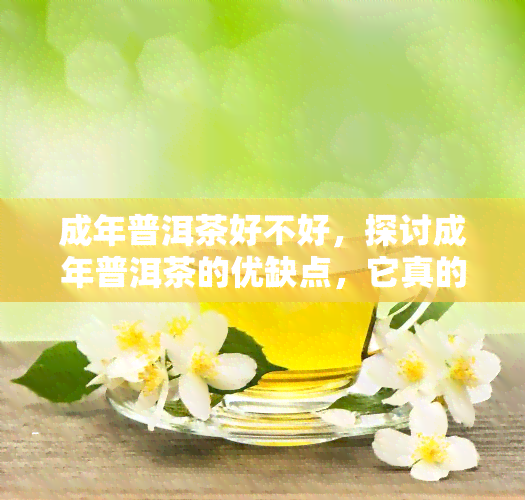 成年普洱茶好不好，探讨成年普洱茶的优缺点，它真的好吗？