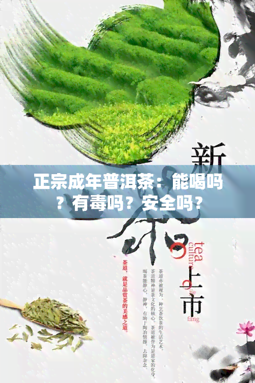 正宗成年普洱茶：能喝吗？有吗？安全吗？