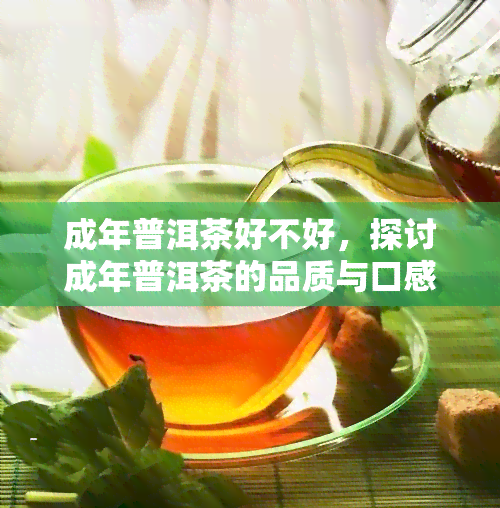 成年普洱茶好不好，探讨成年普洱茶的品质与口感：它真的好吗？