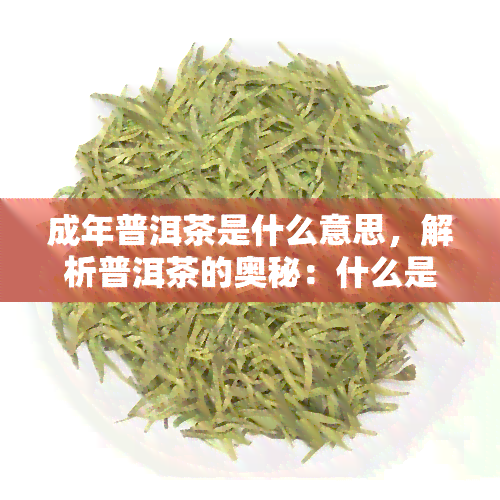 成年普洱茶是什么意思，解析普洱茶的奥秘：什么是成年普洱茶？