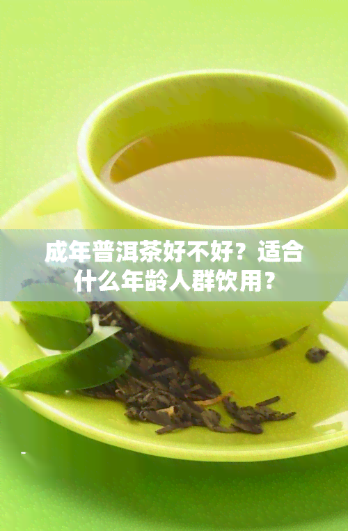 成年普洱茶好不好？适合什么年龄人群饮用？