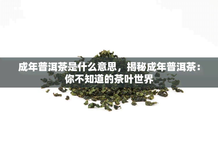 成年普洱茶是什么意思，揭秘成年普洱茶：你不知道的茶叶世界