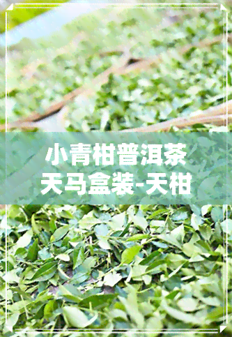 小青柑普洱茶天马盒装-天柑普洱茶价格