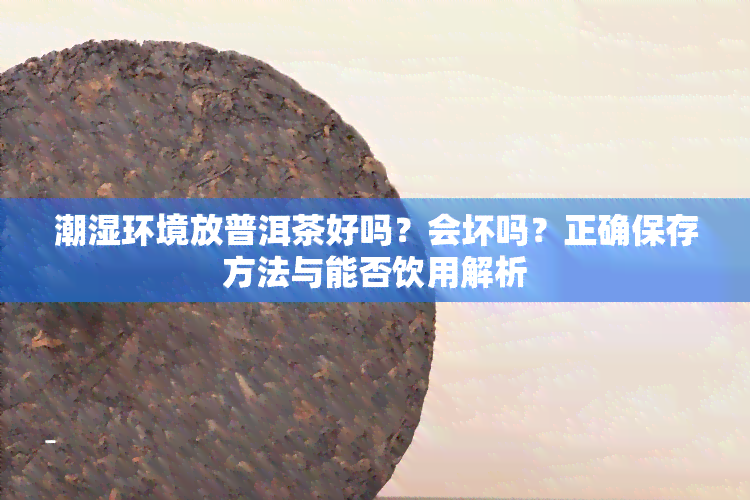 潮湿环境放普洱茶好吗？会坏吗？正确保存方法与能否饮用解析