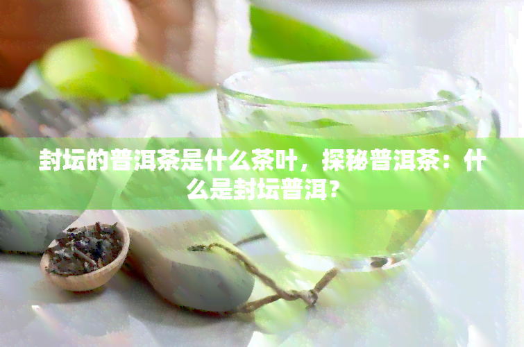 封坛的普洱茶是什么茶叶，探秘普洱茶：什么是封坛普洱？