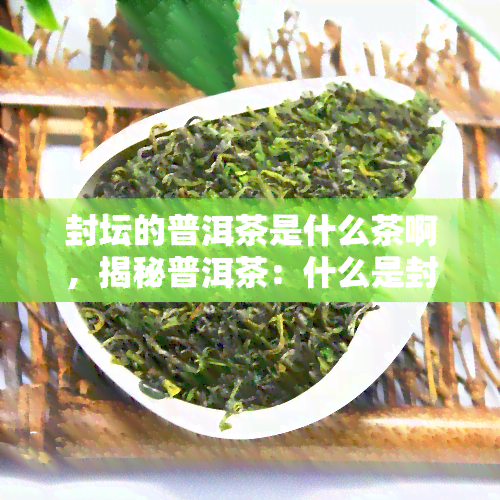 封坛的普洱茶是什么茶啊，揭秘普洱茶：什么是封坛普洱？