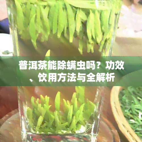 普洱茶能除螨虫吗？功效、饮用方法与全解析