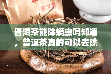 普洱茶能除螨虫吗知道，普洱茶真的可以去除螨虫吗？你必须知道的事实！