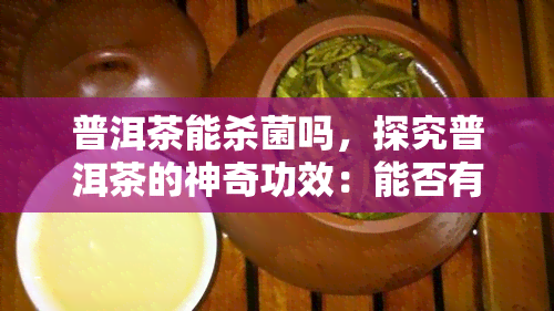 普洱茶能杀菌吗，探究普洱茶的神奇功效：能否有效杀菌？