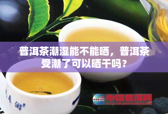 普洱茶潮湿能不能晒，普洱茶受潮了可以晒干吗？