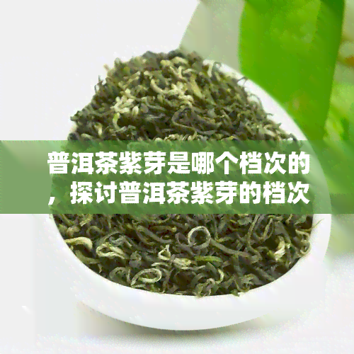 普洱茶紫芽是哪个档次的，探讨普洱茶紫芽的档次及其品质特点