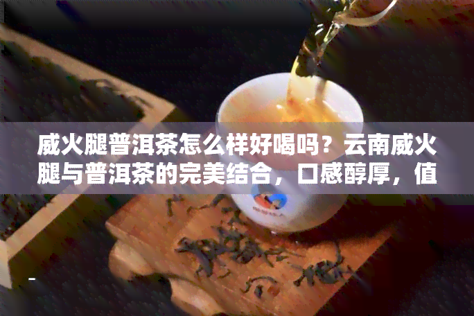 威火腿普洱茶怎么样好喝吗？云南威火腿与普洱茶的完美结合，口感醇厚，值得一试。价格如何？快来了解吧！