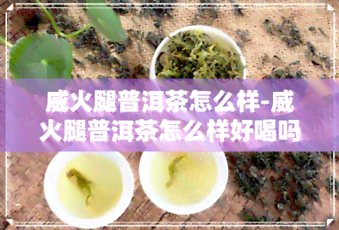 威火腿普洱茶怎么样-威火腿普洱茶怎么样好喝吗